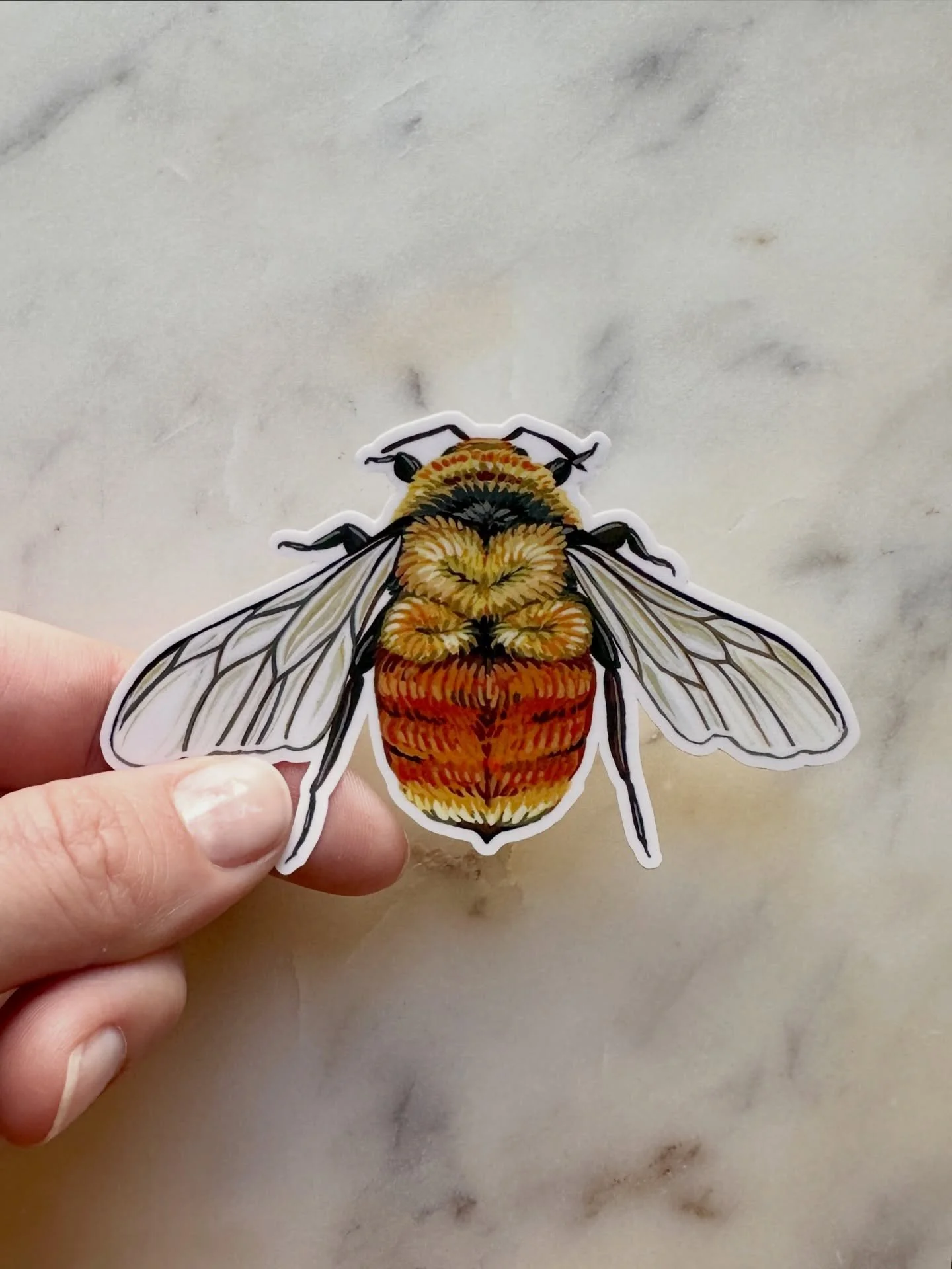 Hunt&rsquo;s Bumble Bee stickers are back in stock! Probably my most popular sticker ya&rsquo;ll love your bees! 🐝