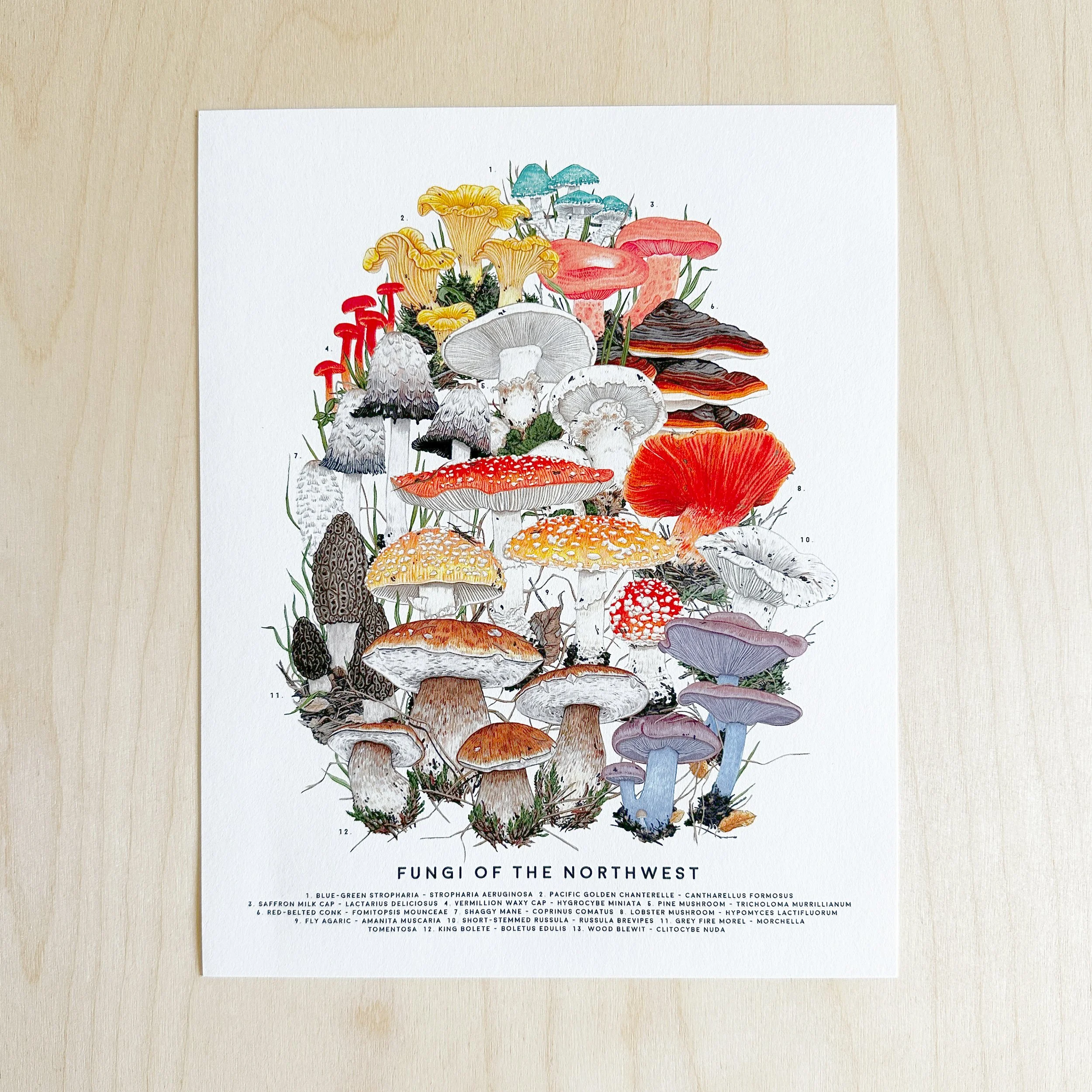 8x10-Fungi-of-the-Northwest-2025.jpg