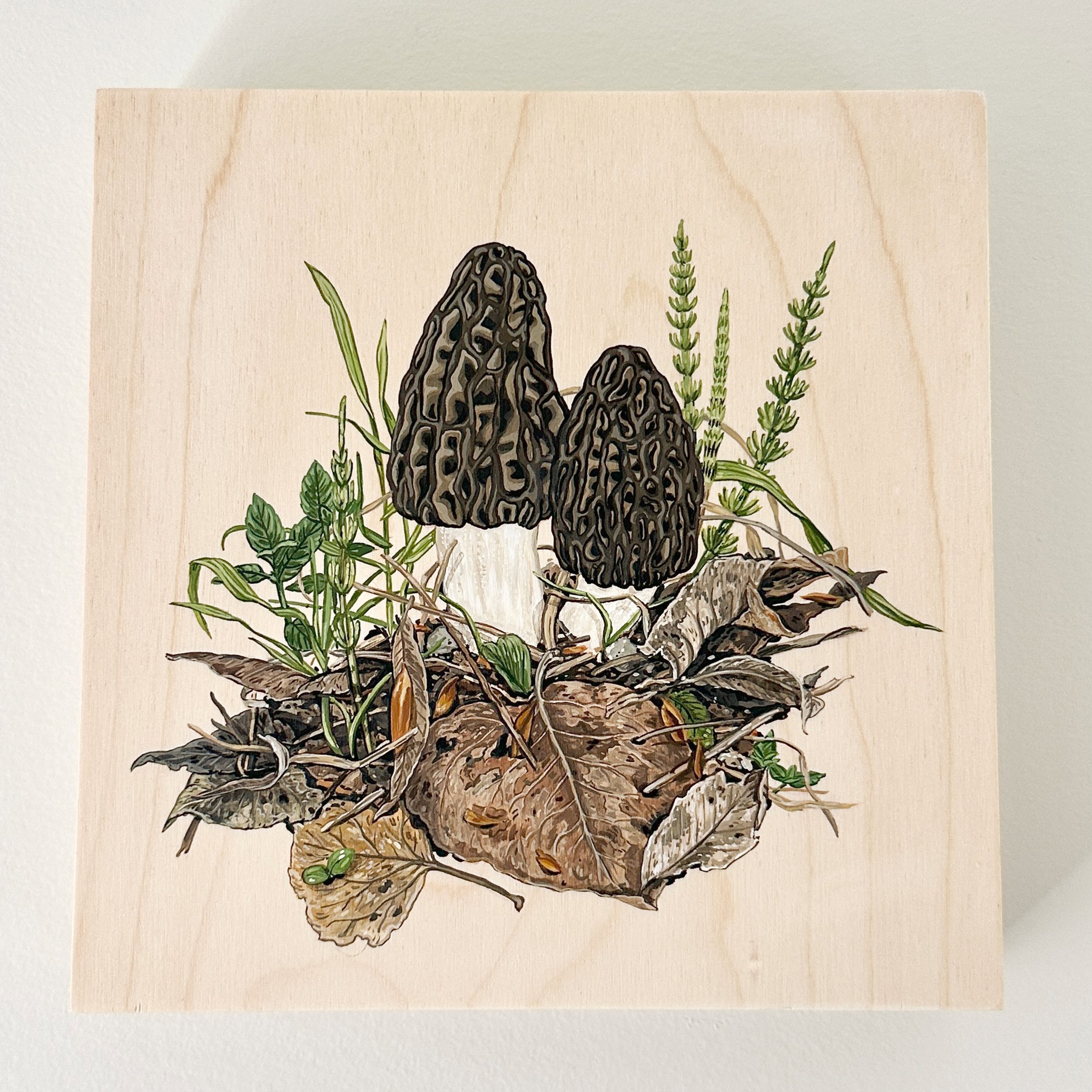 morel-patch.jpg