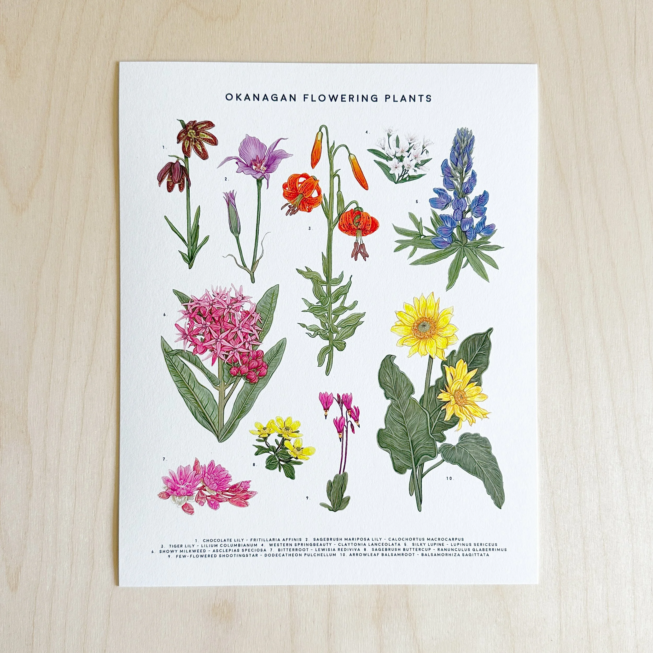 8x10-Okanagan-Flowering-Plants-2025.jpg
