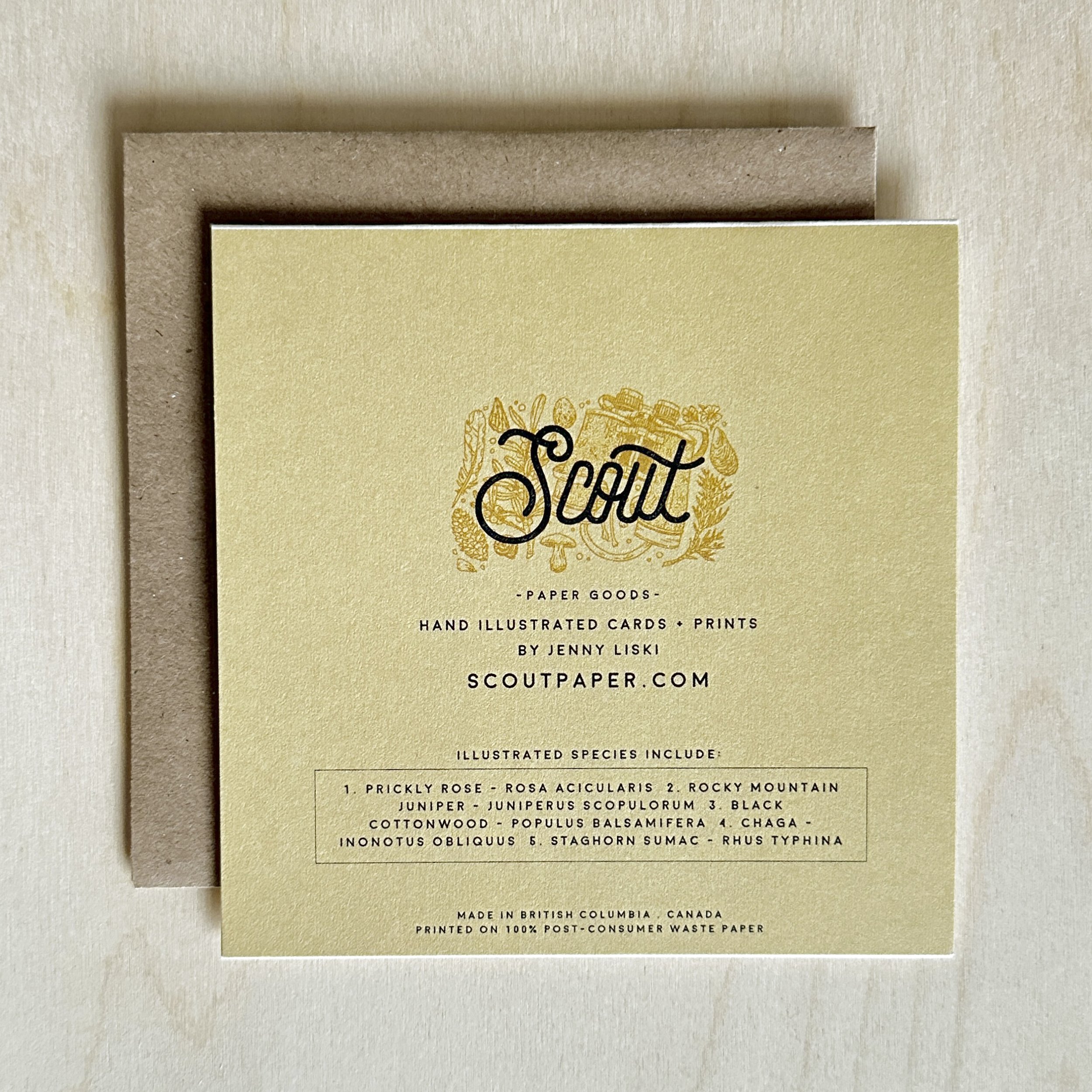 WINTER FORAGE BACK.jpg