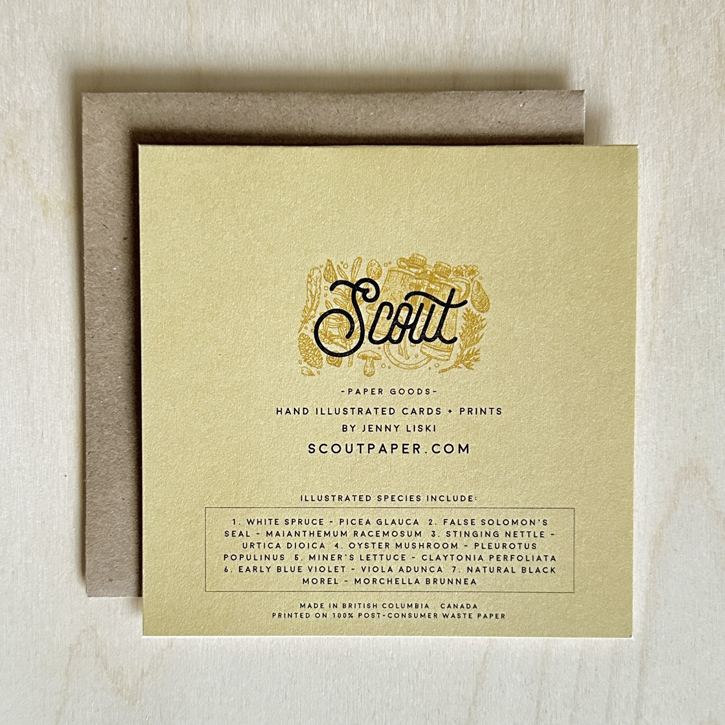 SPRING FORAGE BACK.jpg