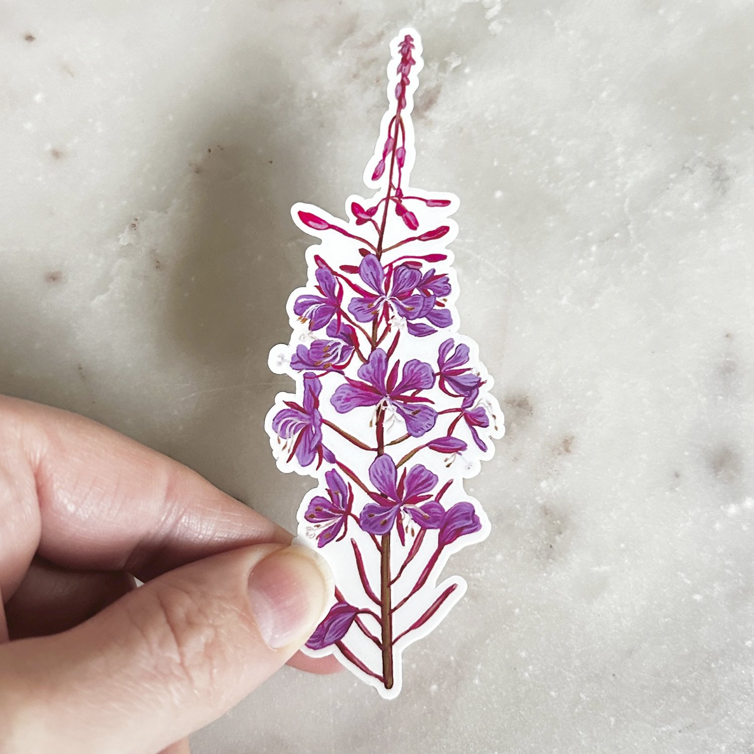Fireweed