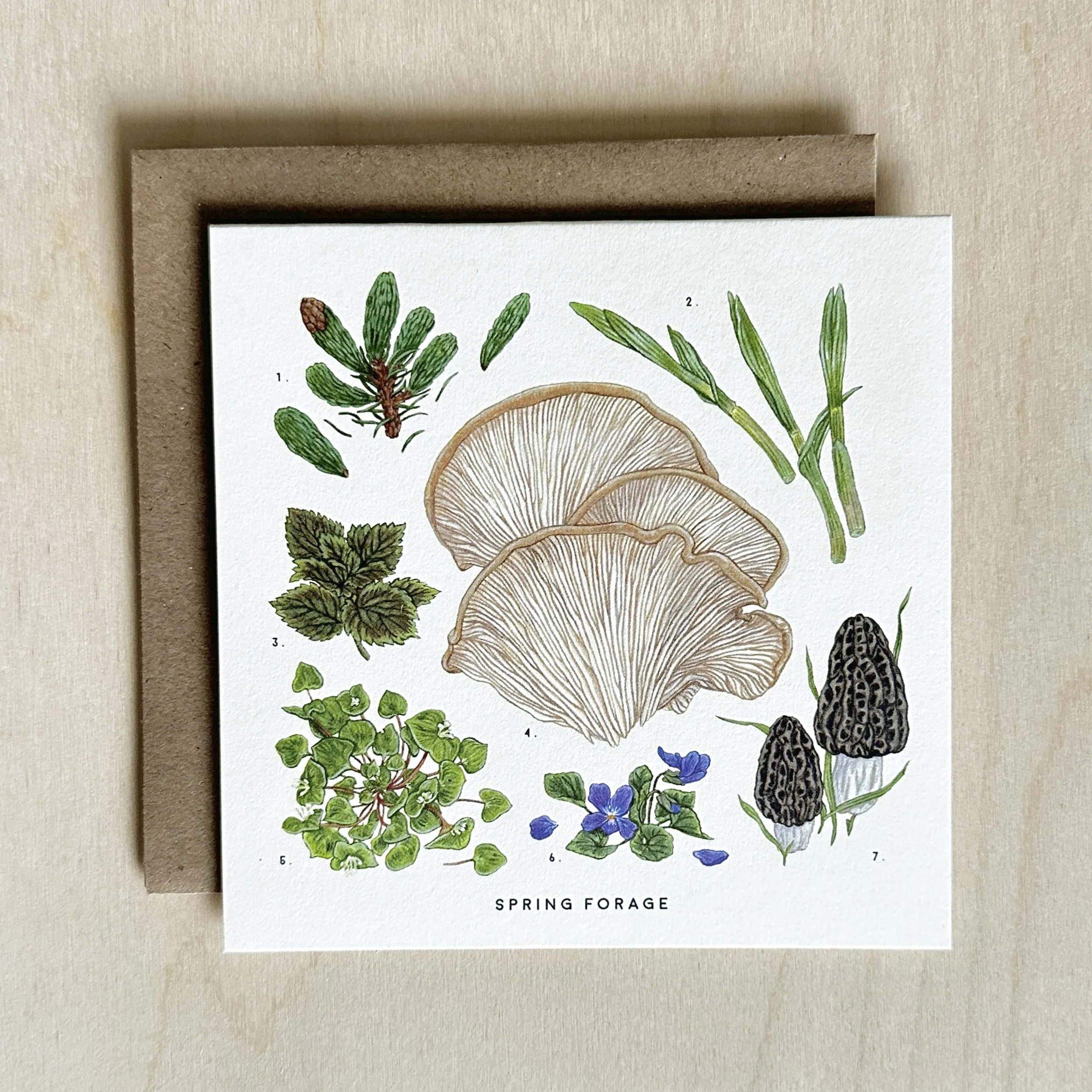 Spring Forage card
