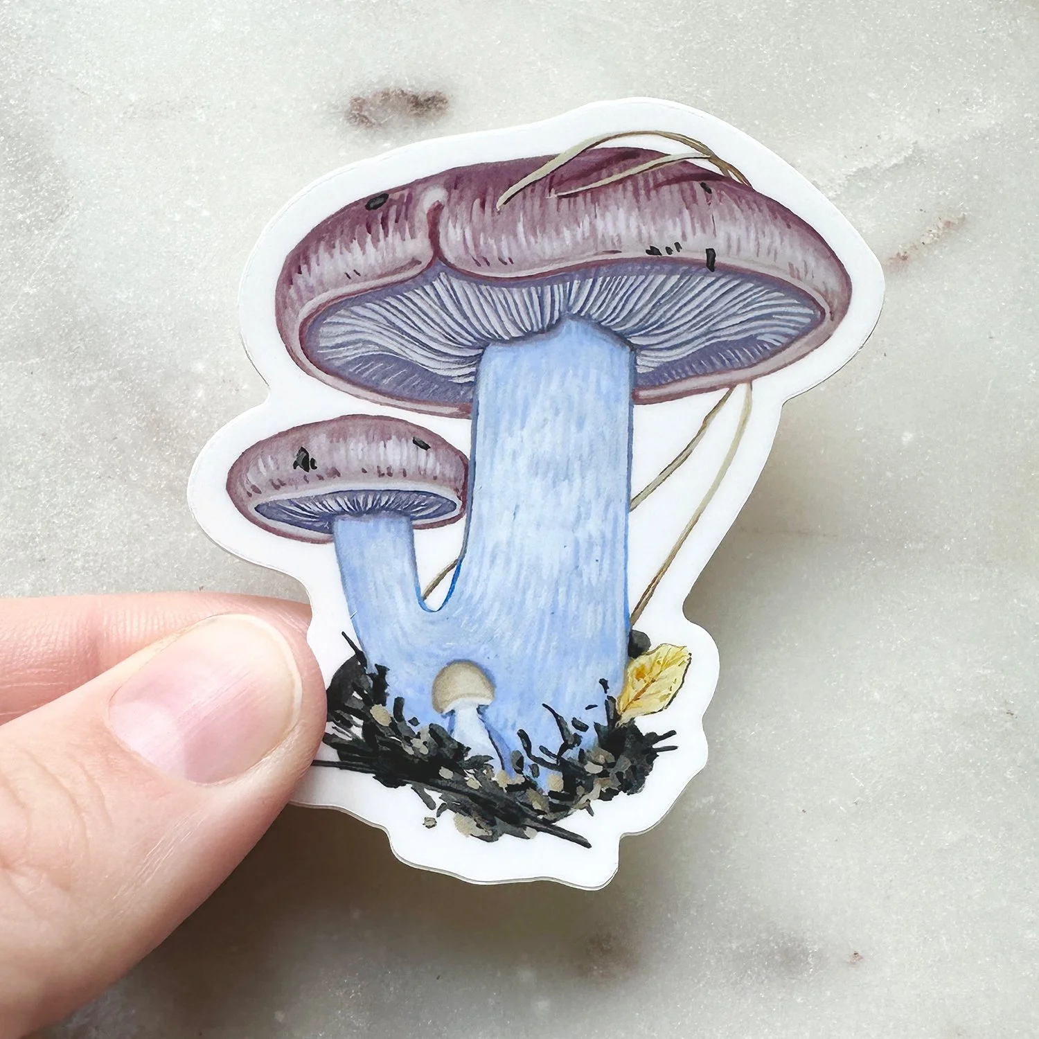 Wood Blewit