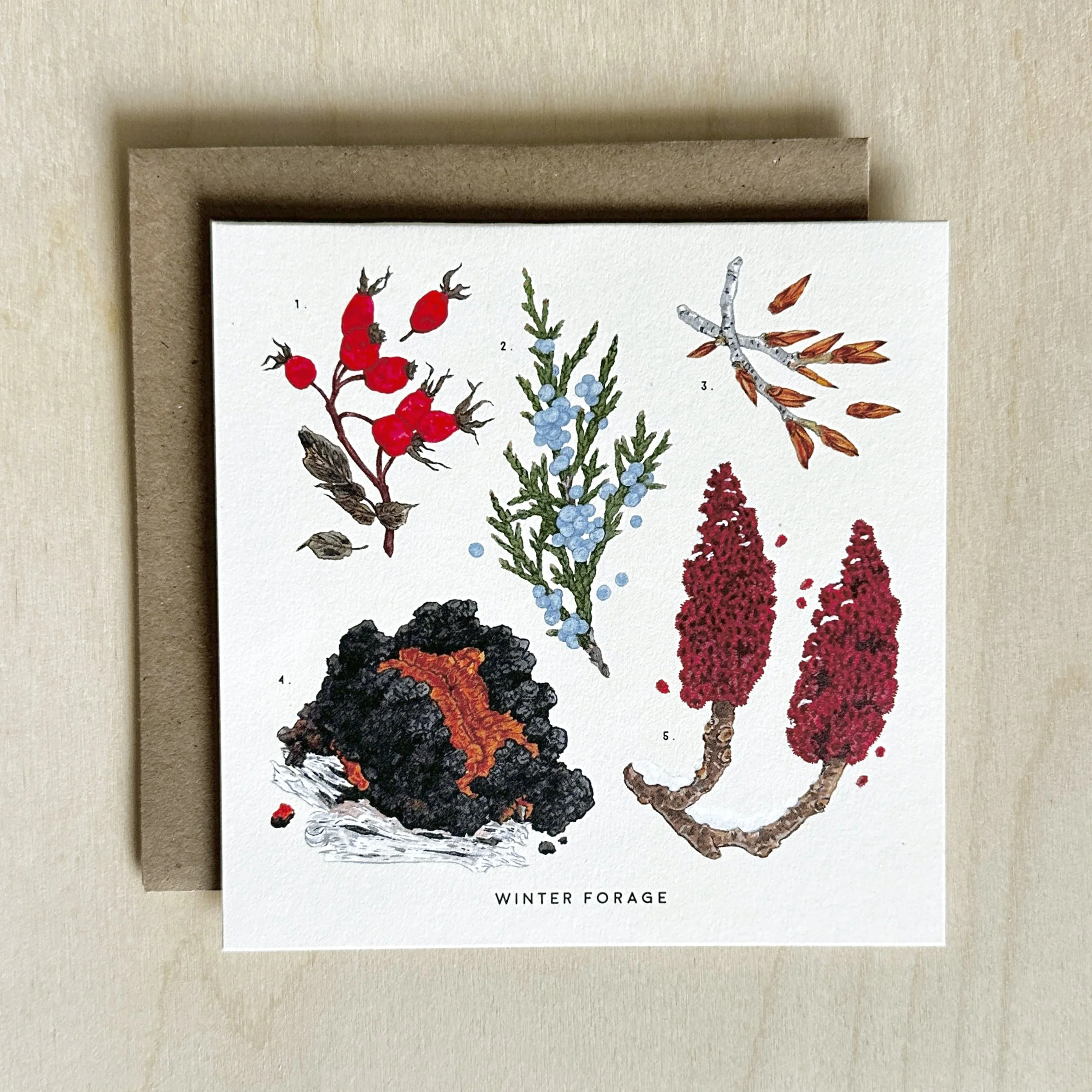 Winter Forage card