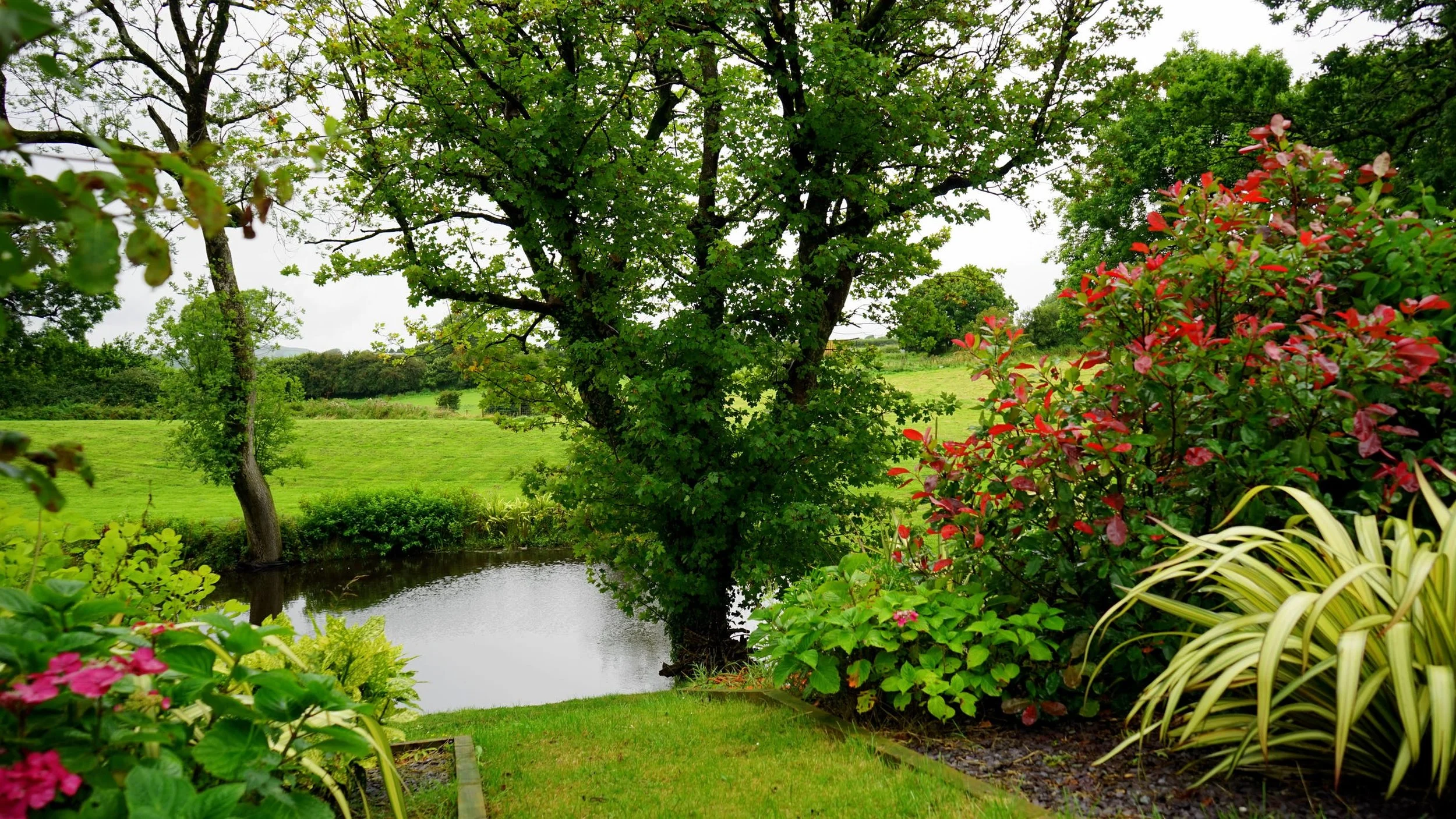 hillside-landscaping-2.jpeg