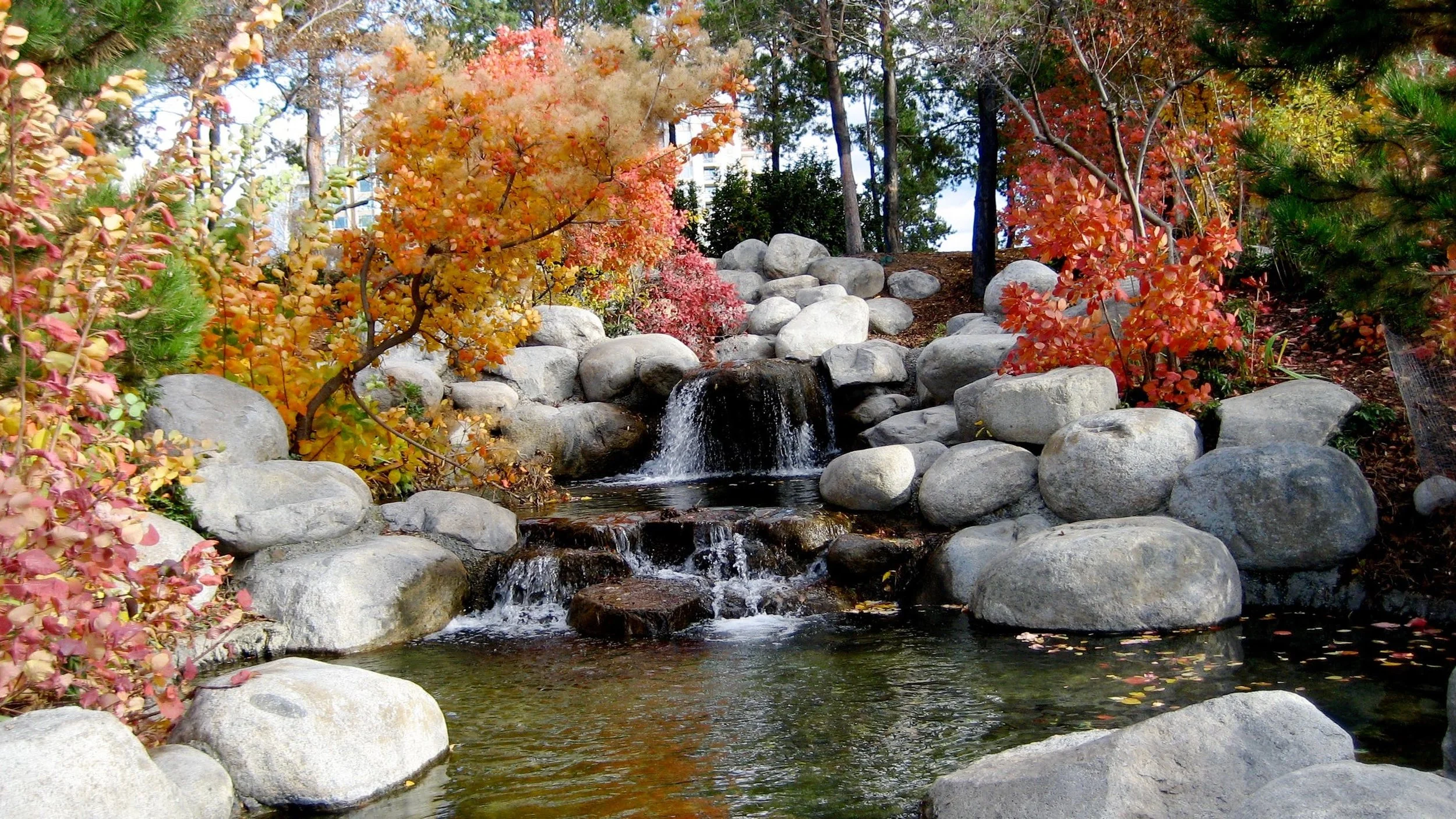 hillside-landscaping-.jpeg