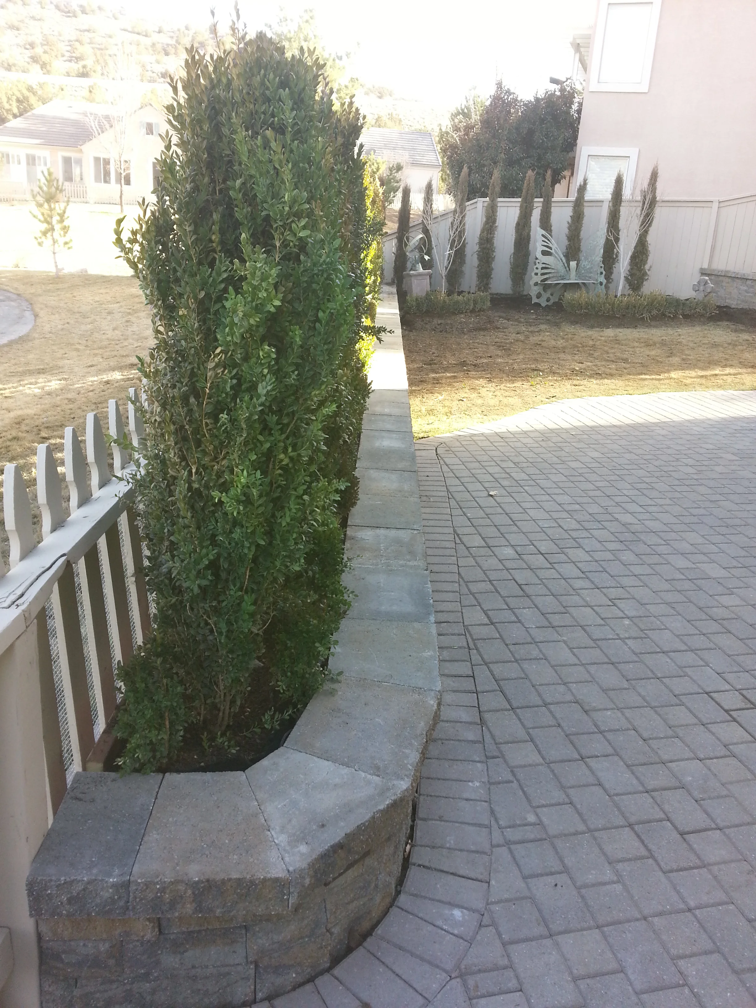 2014-02-11 15.17.52.jpg
