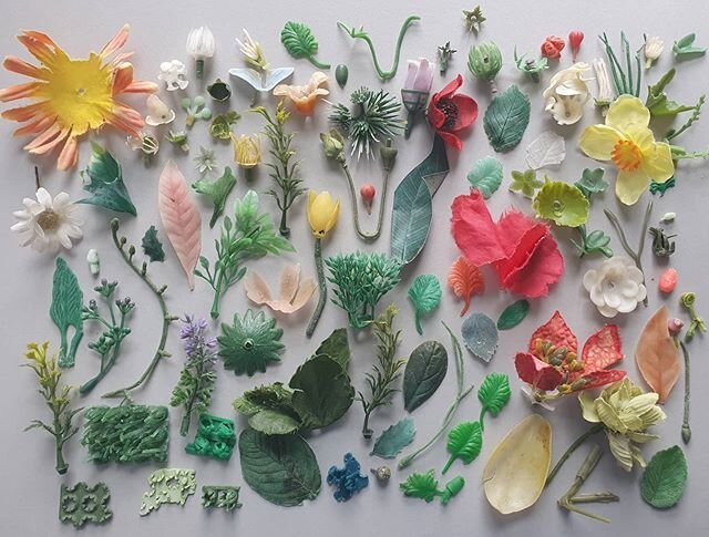 Fake or real.
Swipe away
Plastic plants and plastic flowers found on beautiful Cornish beaches UK
A few real beauties from my garden at the moment too.
Enjoy
🌷🌼🌻💐🌸💮🏵️🌹🥀🌺🌿🌾🍀☘️🍃🍂🍁🌴🌳🌲🌼🌻💐🌼🏵️🌹🥀🌺🕷️🦗
#2minutebeachclean #astrotur