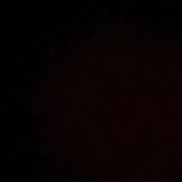 Take Action - black lives matter