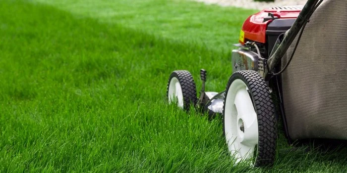 20160111170219-lawn-grass-cut-mow.jpeg