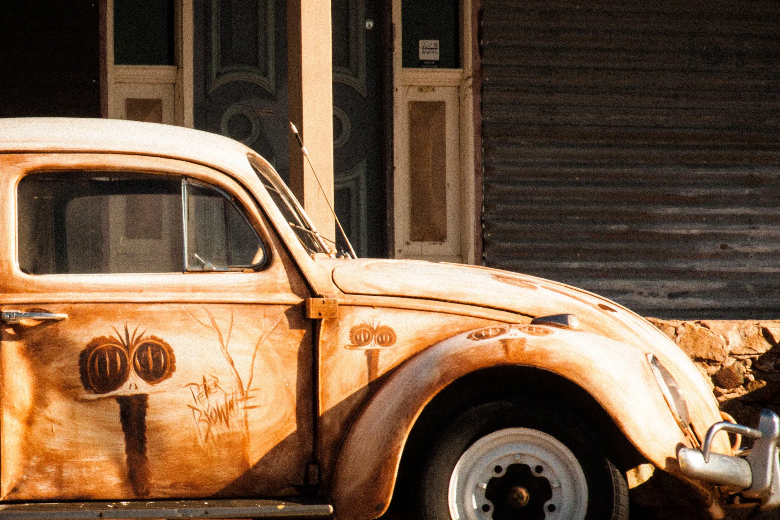 Beetle 2.jpg