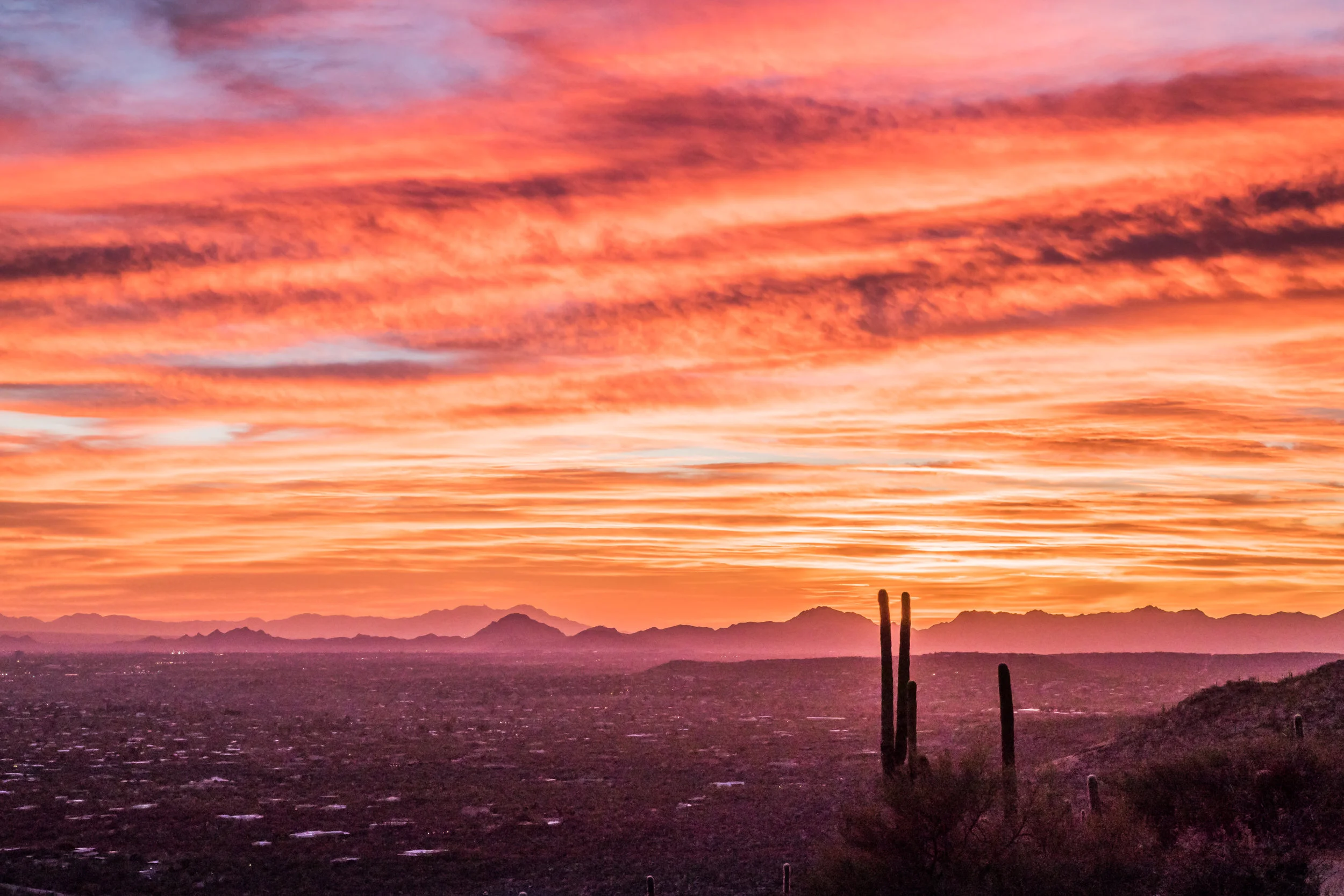 Mt Lemmon 1.jpg
