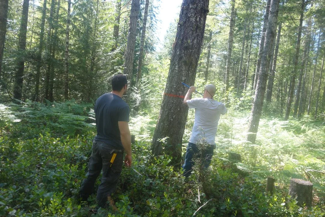 foresthealthmeasuringtrees.jpg