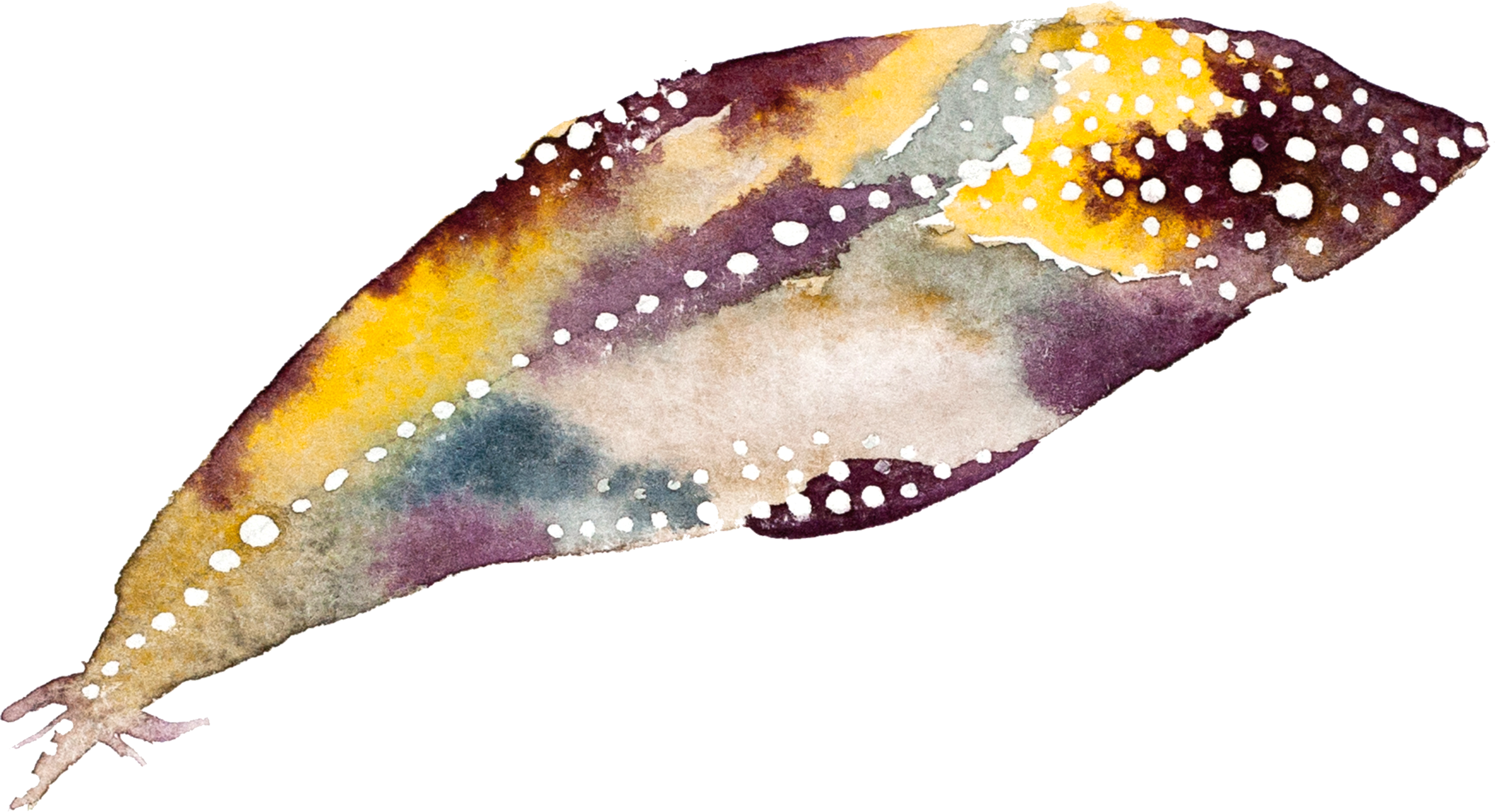 31.png