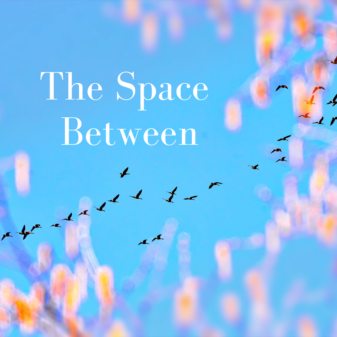 The Space Between