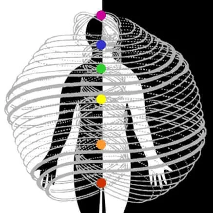 Understanding Polarity Therapy