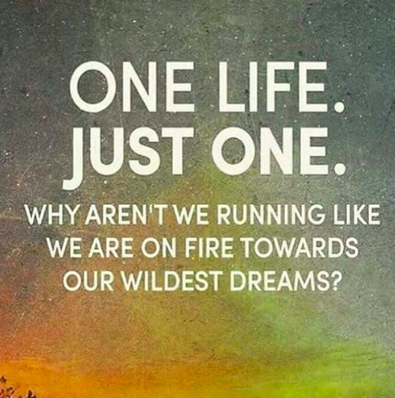Screen Shot 2019-03-27 at 5.59.20 AM.png