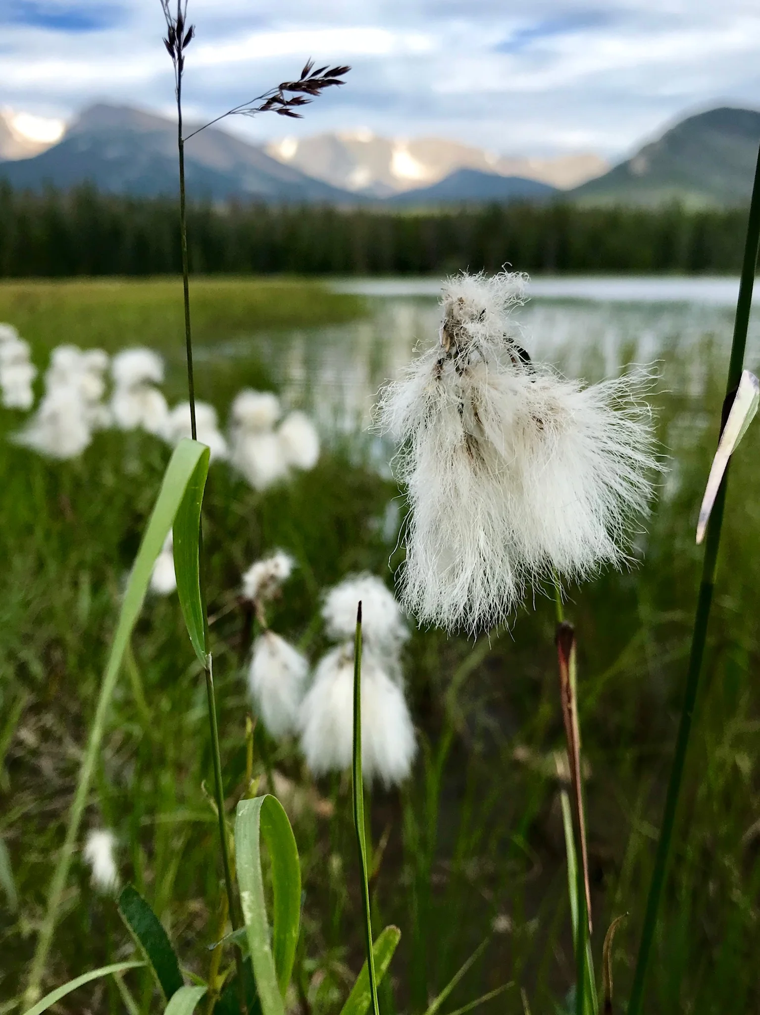 Bierstadt Lake | Rocky Mountain National Park, CO