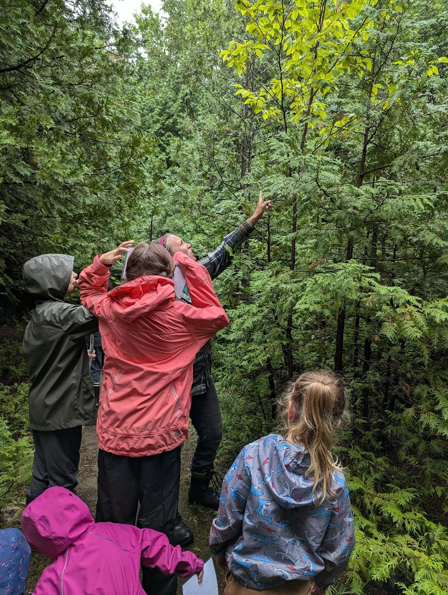 Into the Wild - Forest Survival Week