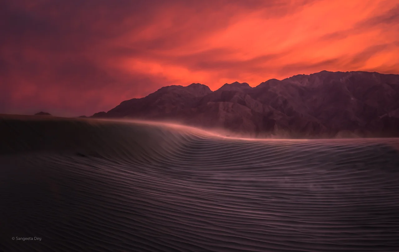 The Last Light