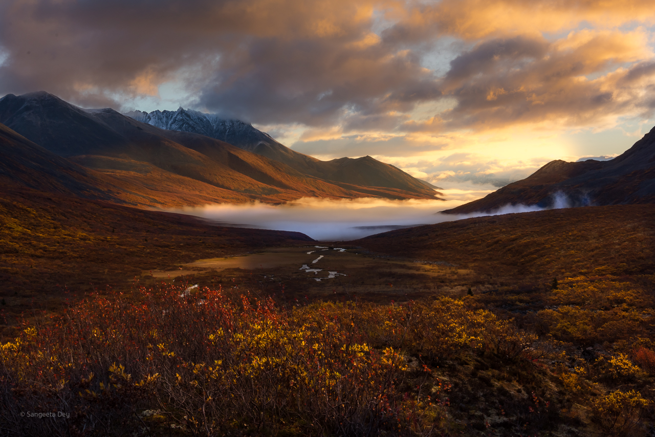 “Shadows of Silence”