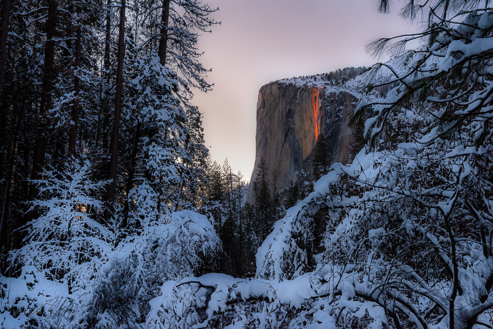 “Winter’s Fire”