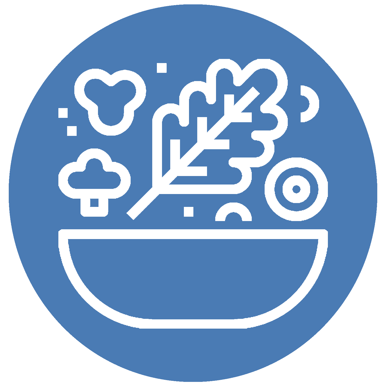 Salad Icon BB.png