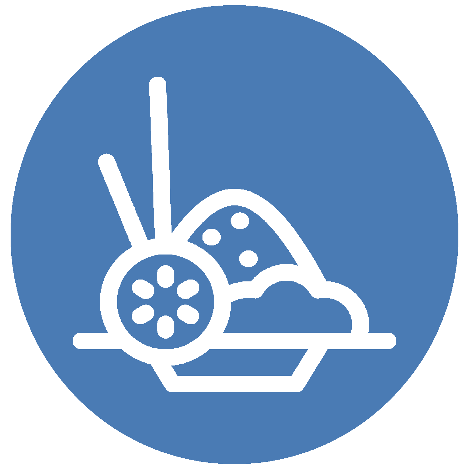 Plate Icon BB.png