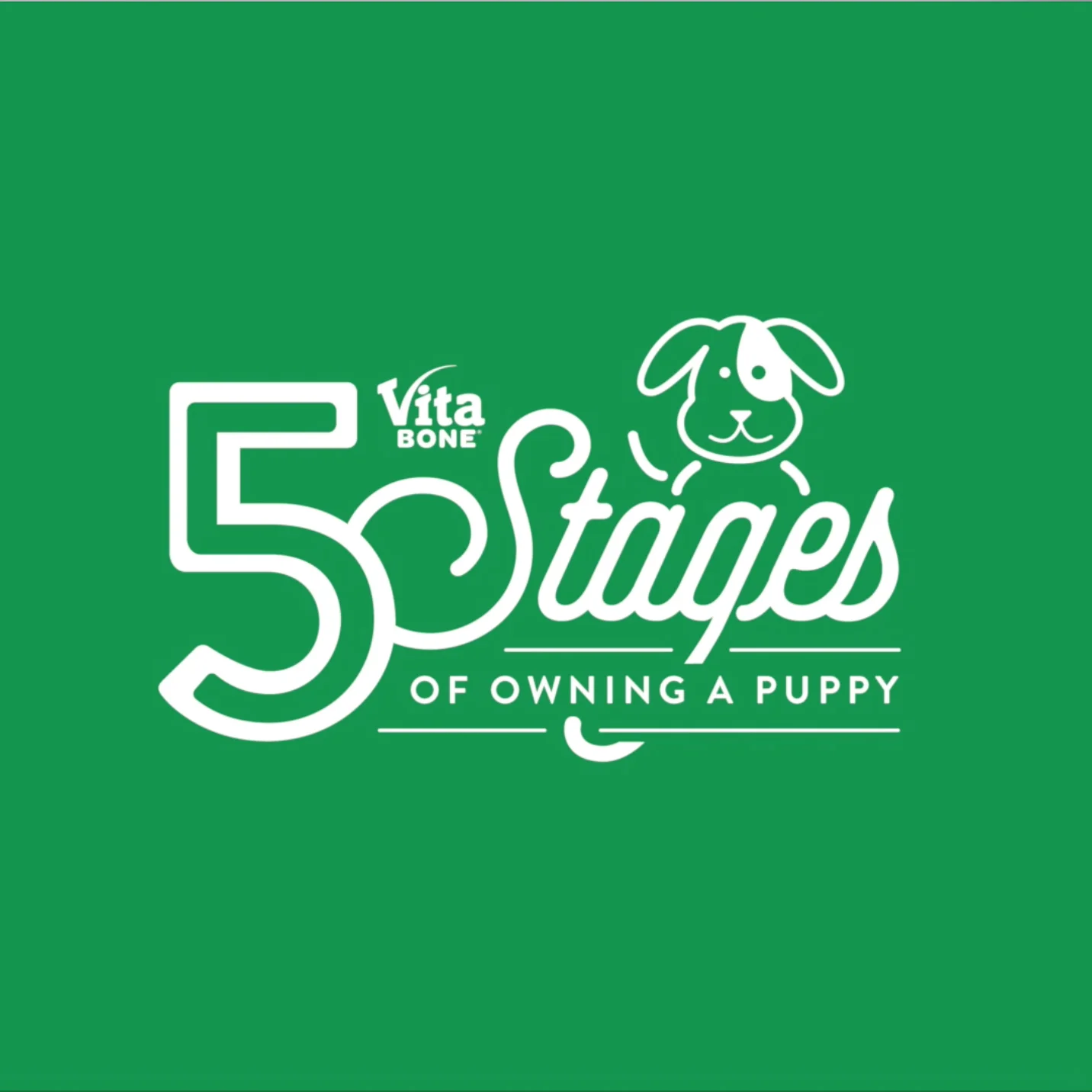 01_5Stages.jpg