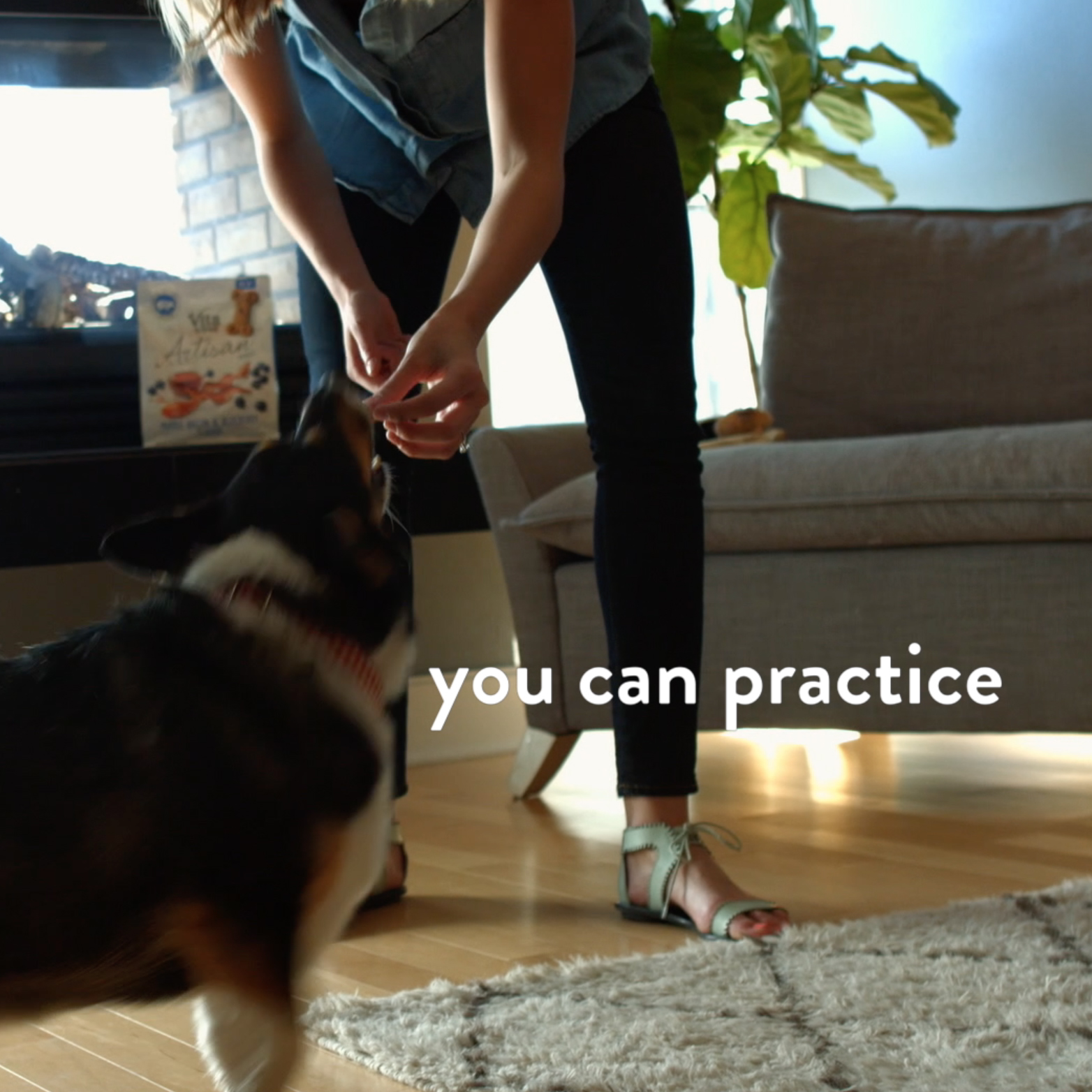 01_DoggyFails.jpg