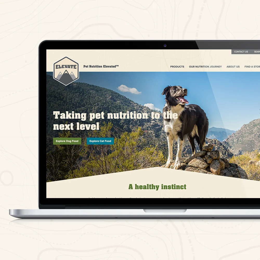 01_ElevateWebsite.jpg