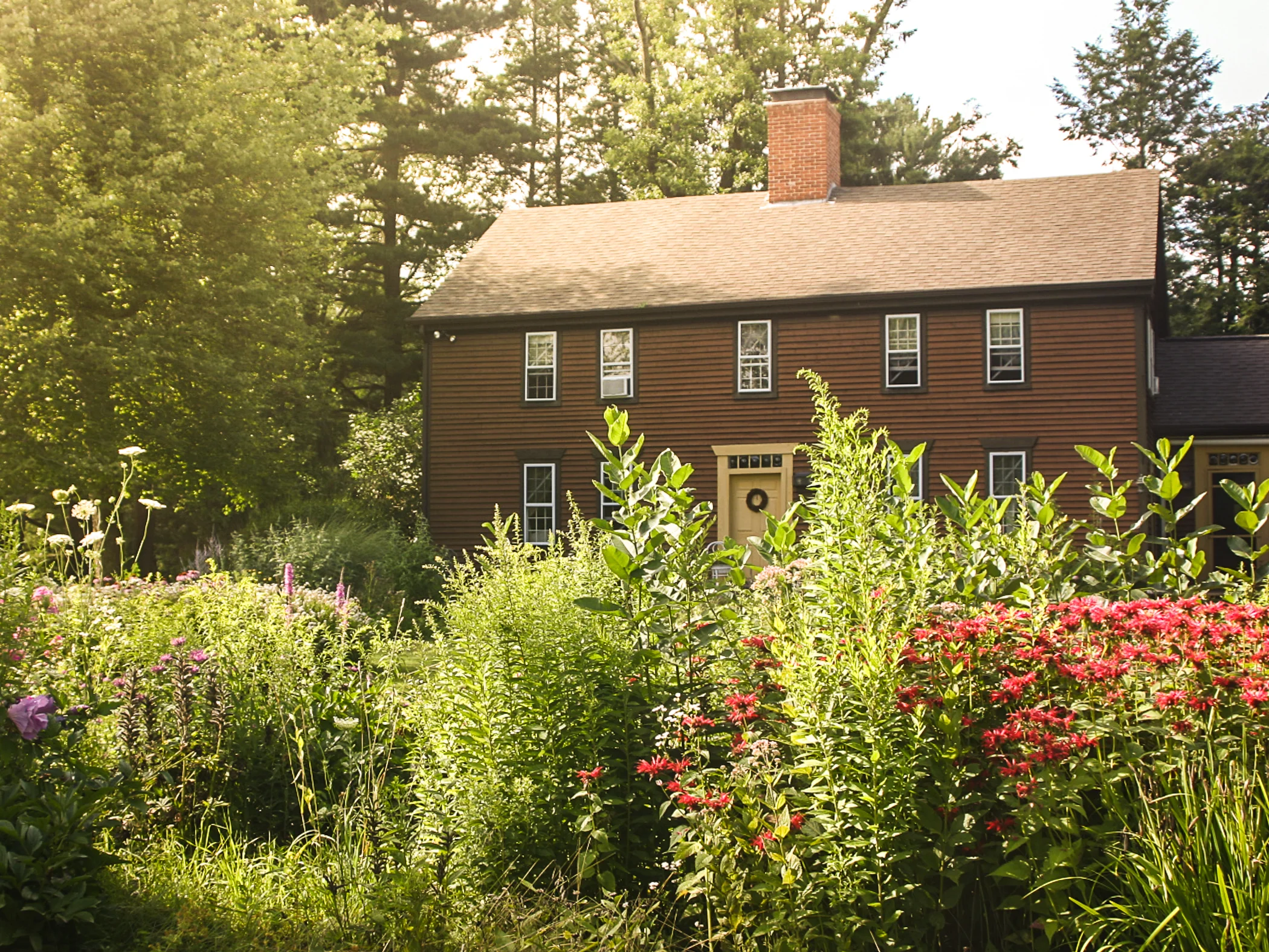 hi-res-tcgarden.jpg