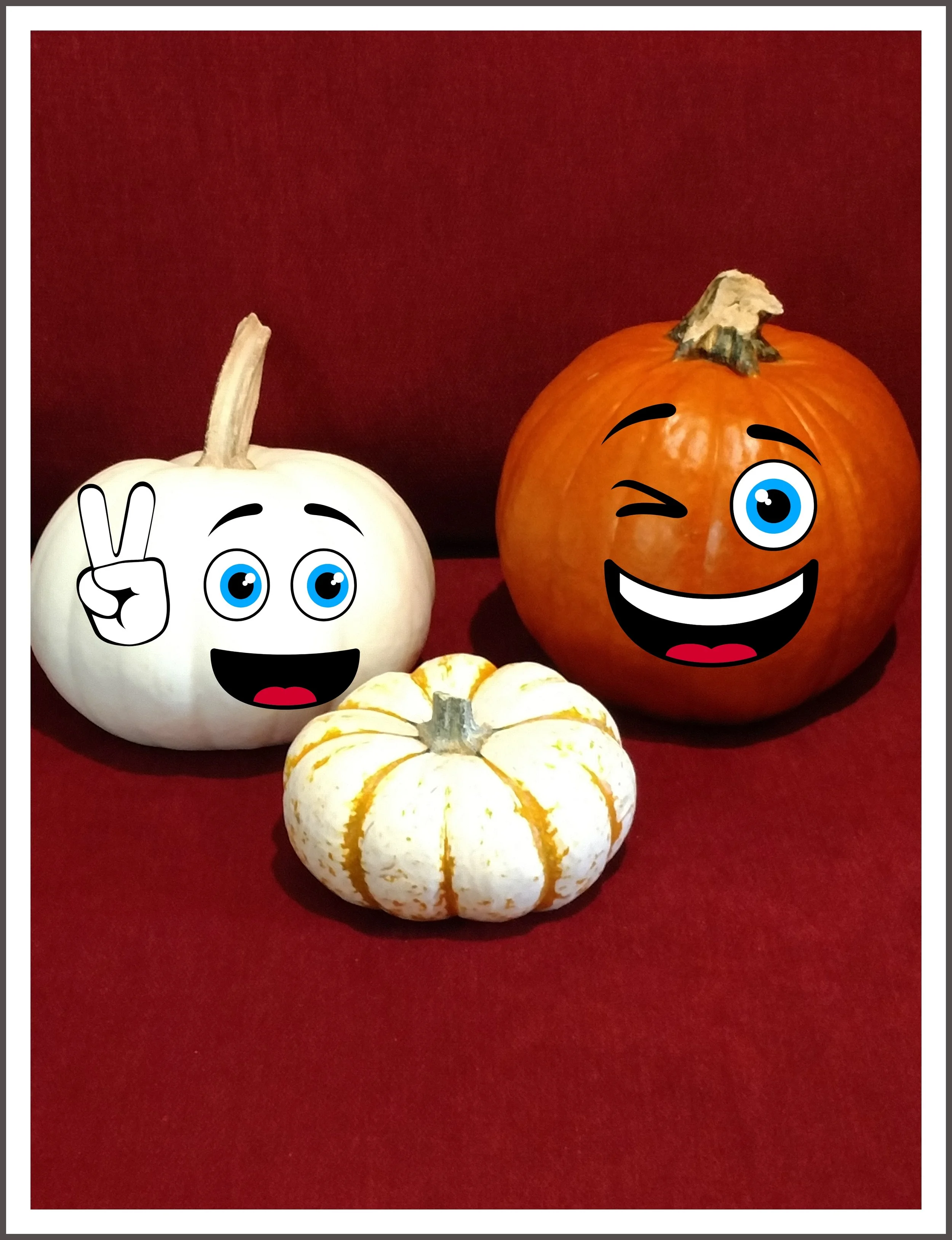 photostudio_1539474899513.jpg