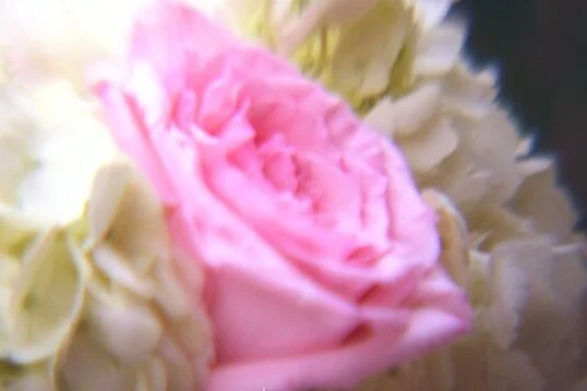 Devoe & Candace // 2017