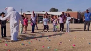 VFX Breakdown for Acme E. Bunny