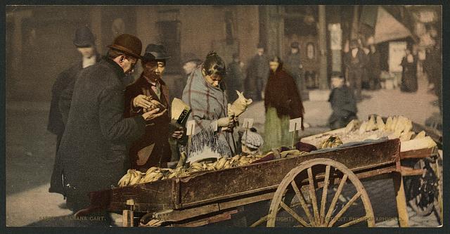 bananas 1902 library of congress.jpg