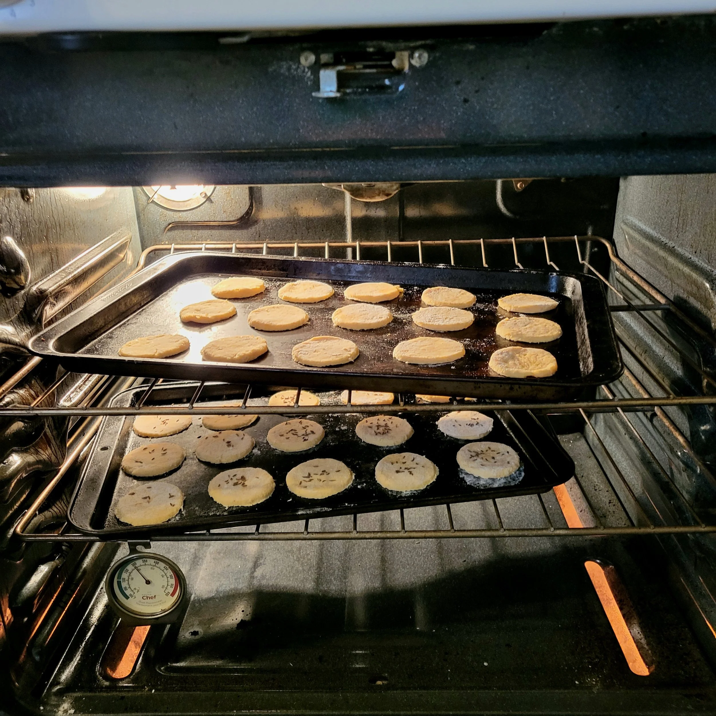 20260329_134405 (1).jpg