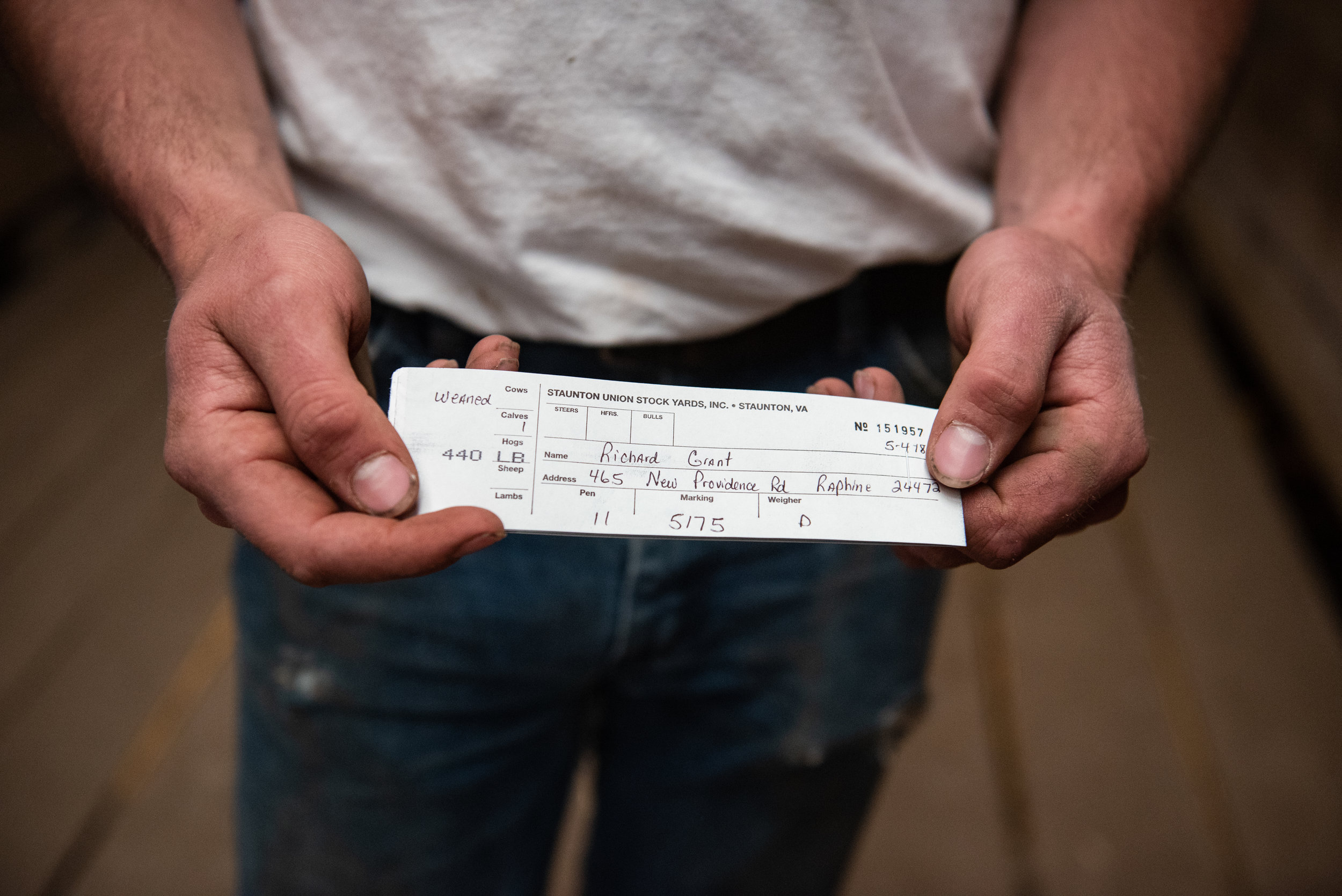  Luke shows off his receipt from the stock yard. He sold five calves and two heifers. 