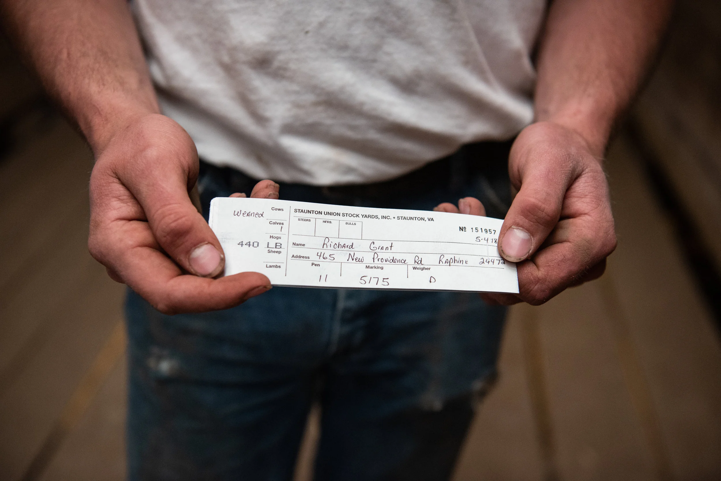 Luke shows off his receipt from the stock yard. He sold five calves and two heifers.
