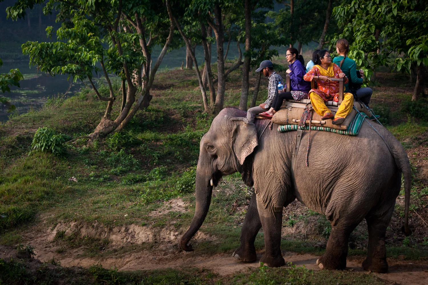 20130329_chitwan_0024_chitwan.jpg