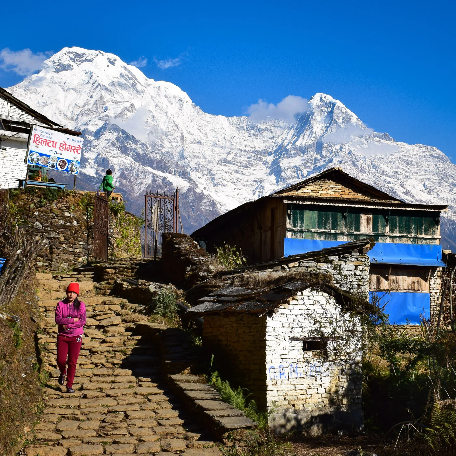 DSC_0379_trek.jpg