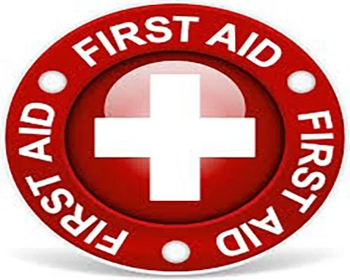 AHA HeartSaver First Aid Course Take Care CPR