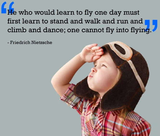 fly.jpg