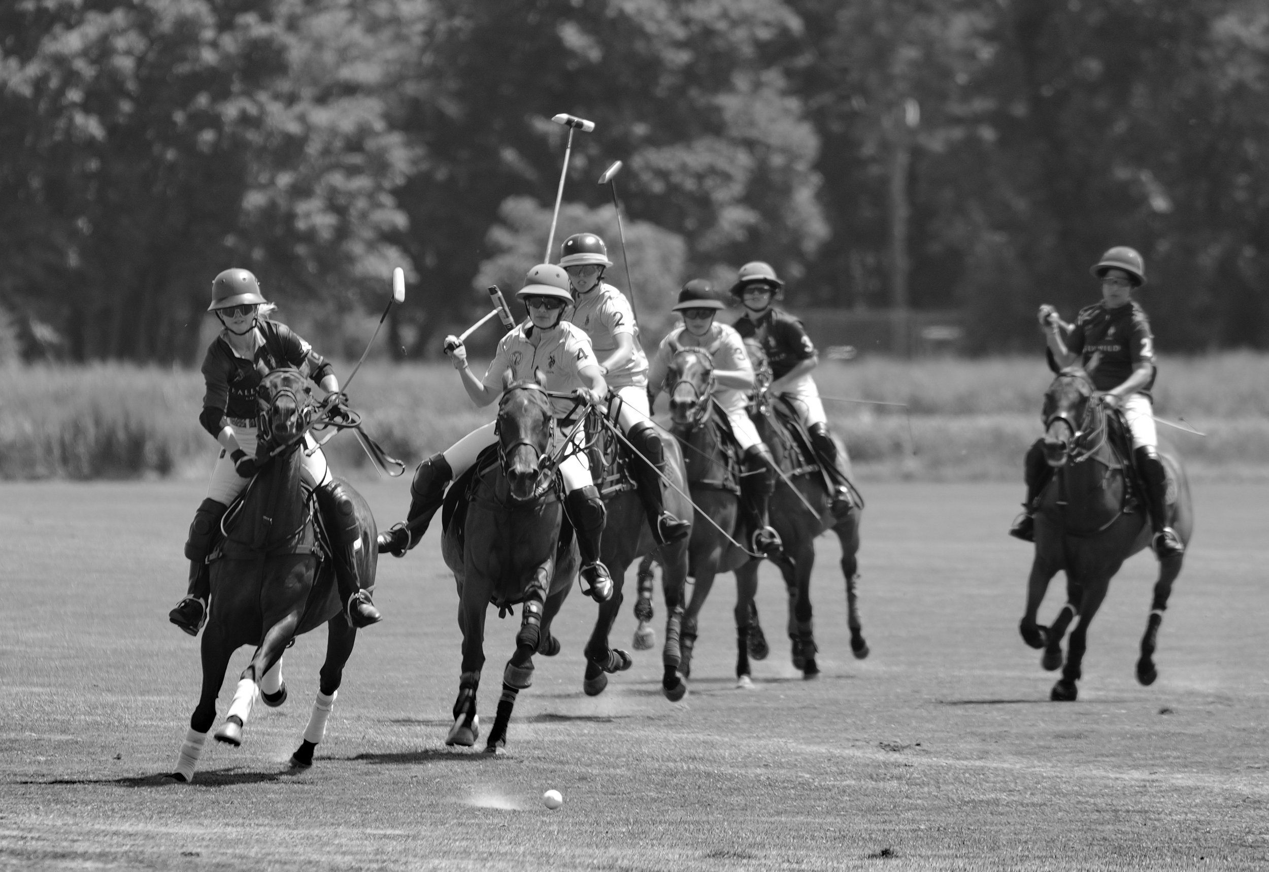 MASH POLO AUG 1-1000624.jpg