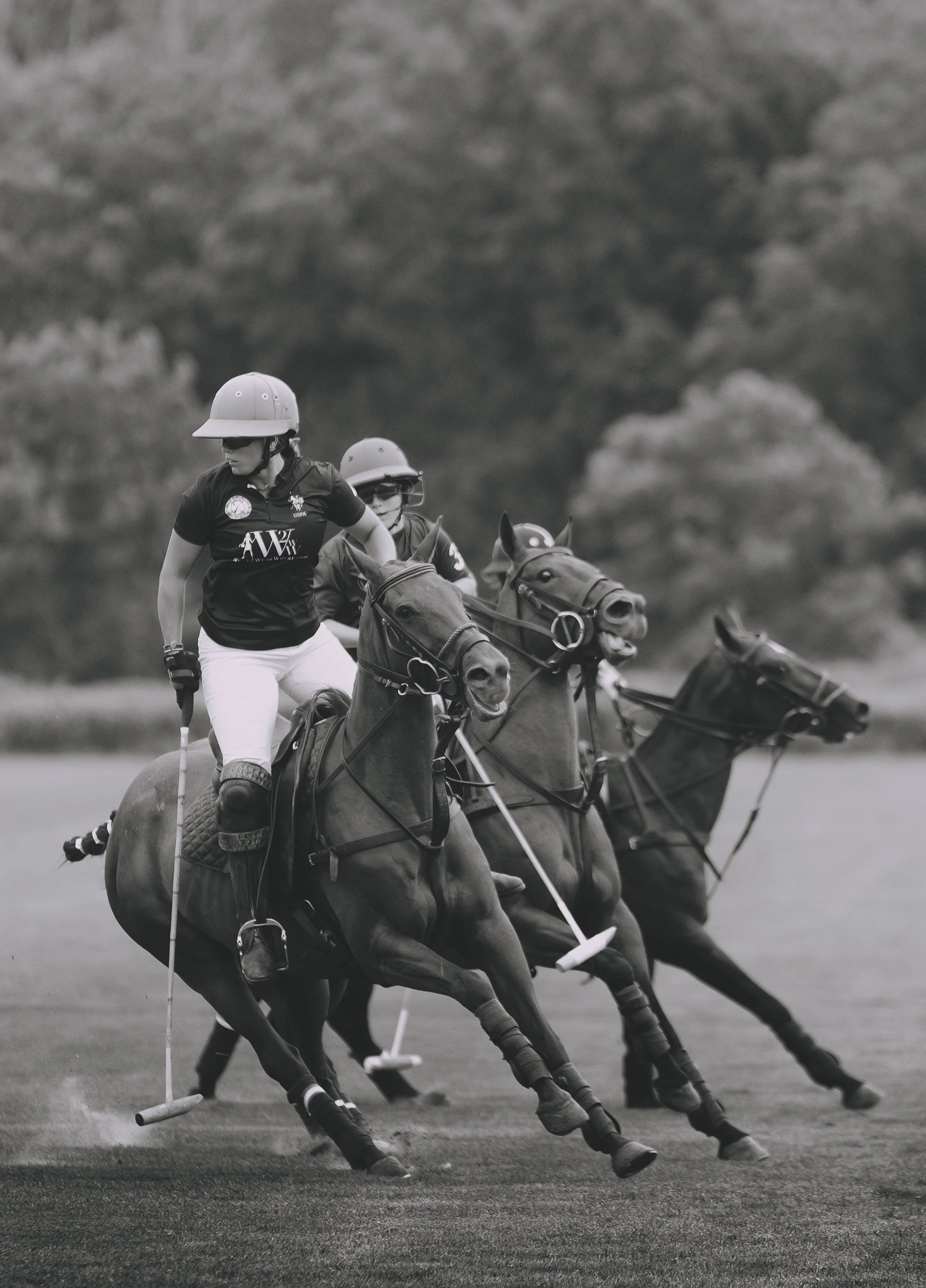 MASH POLO AUG 2-1001107.jpg
