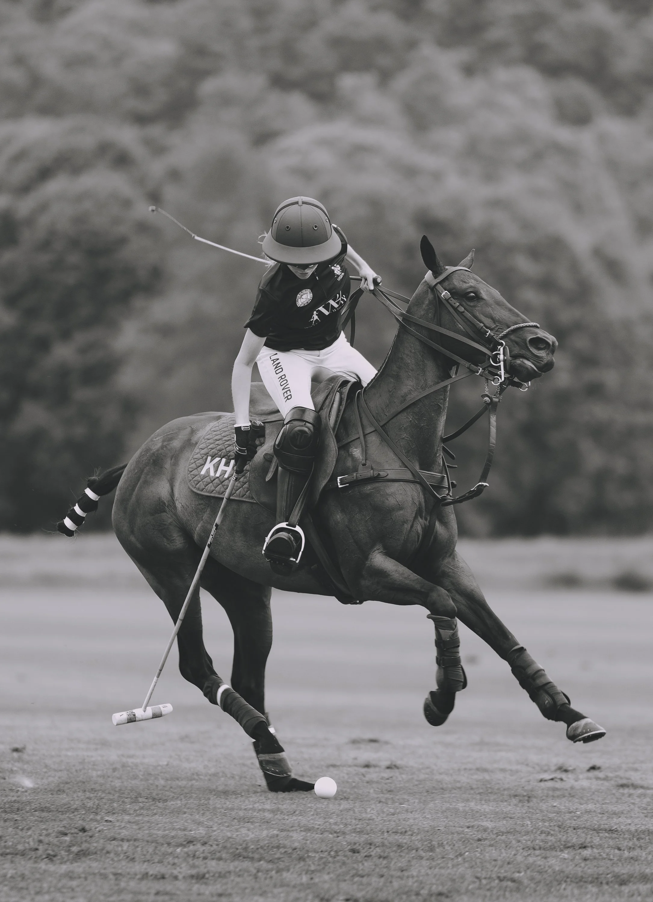 MASH POLO AUG 2-1001379.jpg