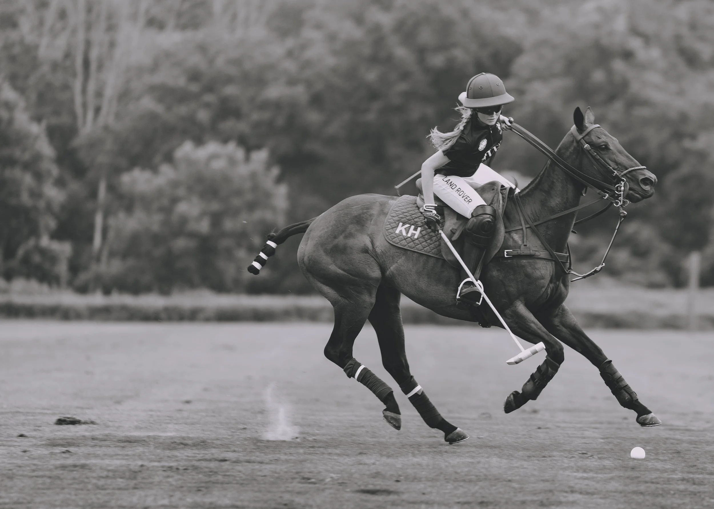 MASH POLO AUG 2-.jpg