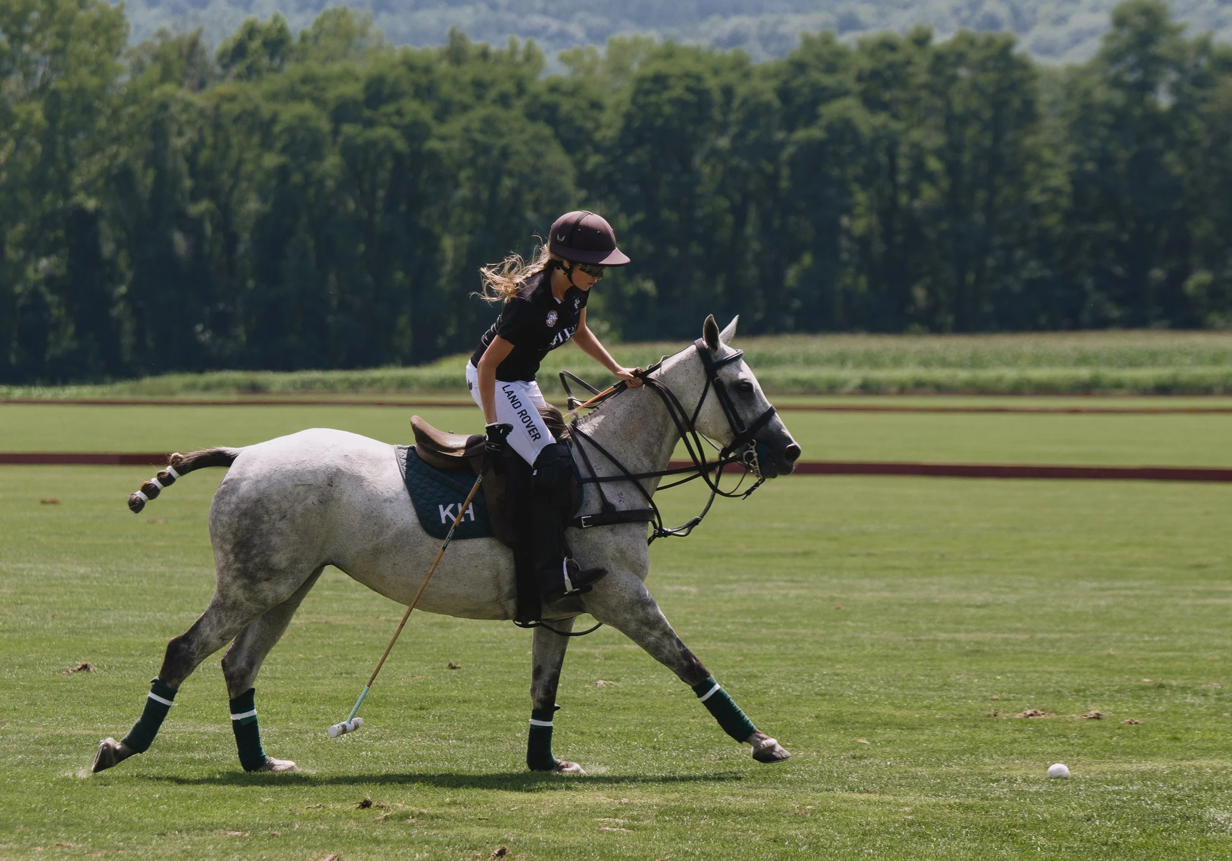 MASH POLO AUG 1-1000573.jpg